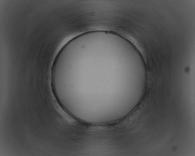 X0000095541187200801041302