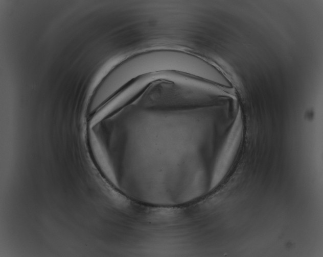 X0000095541188200801041302