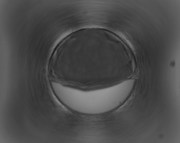 X0000095541189200801041302