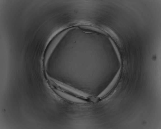 X0000095541190200801041302