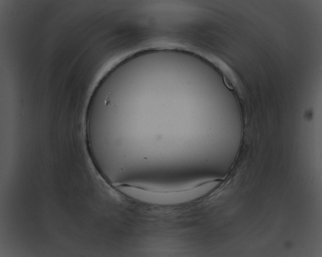 X0000095541191200801041302