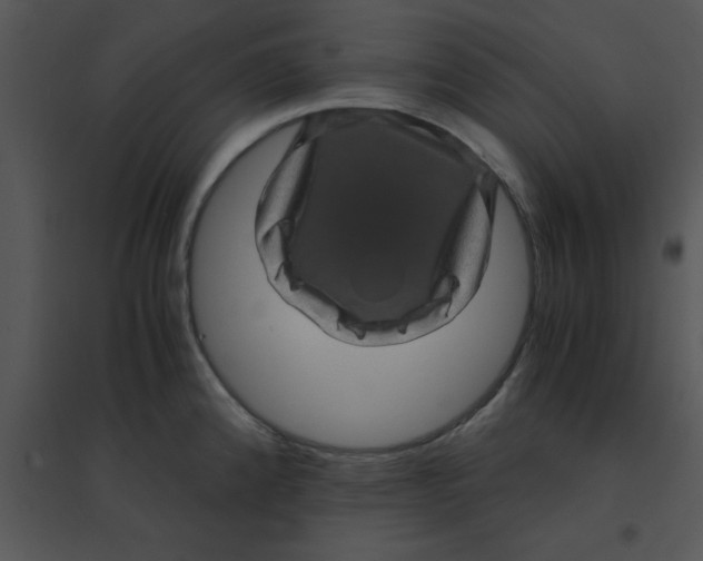 X0000095541192200801041302