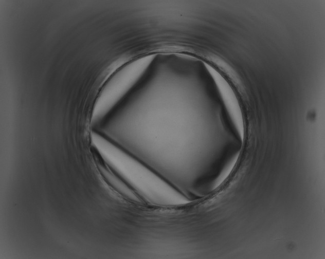 X0000095541193200801041302