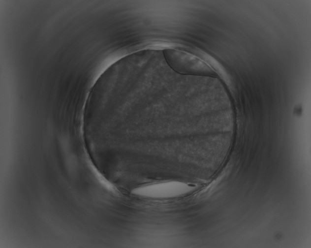 X0000095541194200801041302