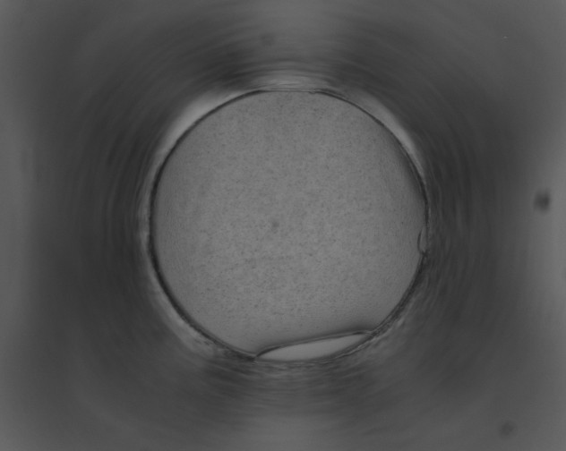 X0000095541195200801041302