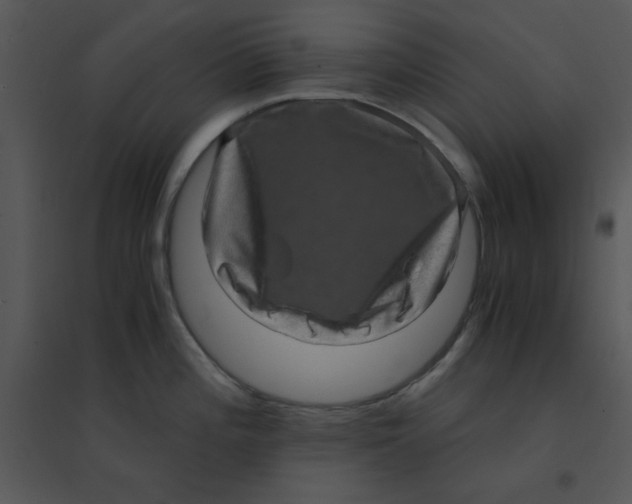 X0000095541196200801041302