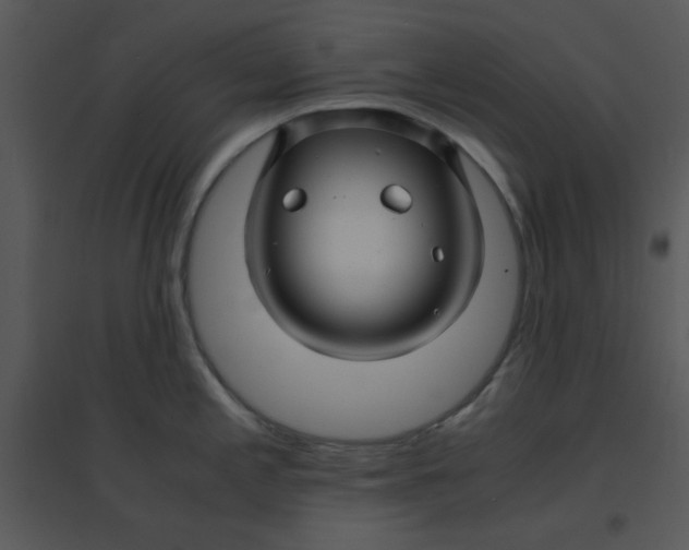 X0000095541197200801041302