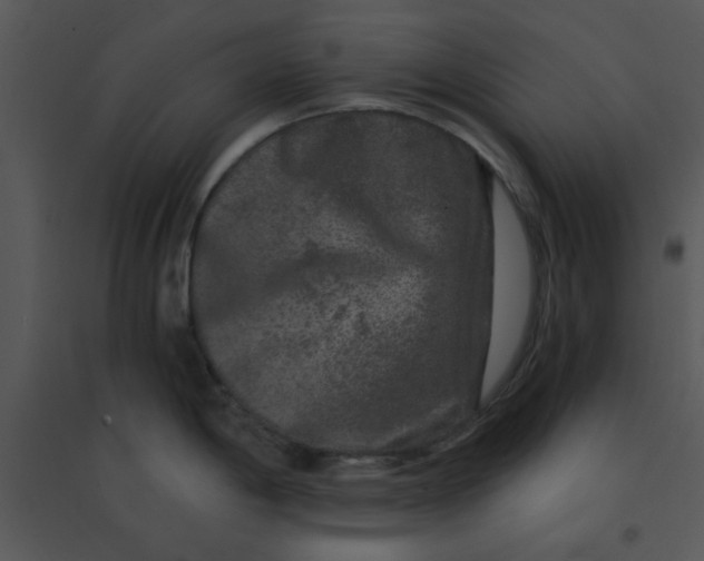 X0000095541198200801041302