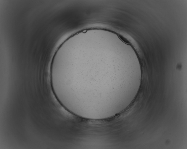 X0000095541199200801041302