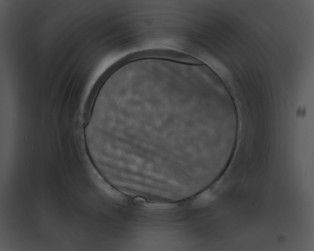 X0000095541200200801041302