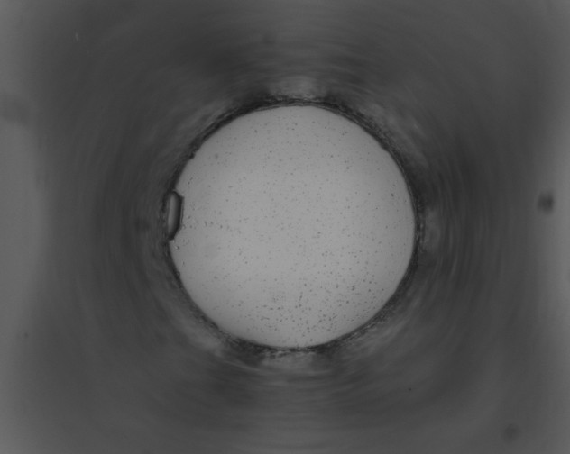 X0000095541201200801041301