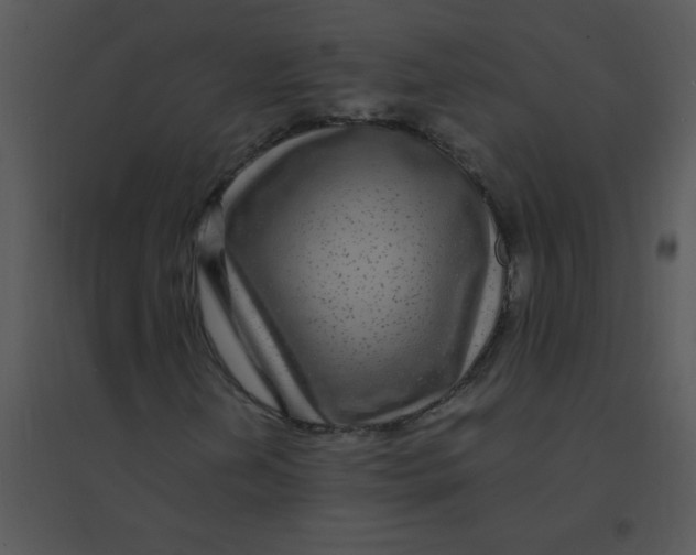 X0000095541202200801041301