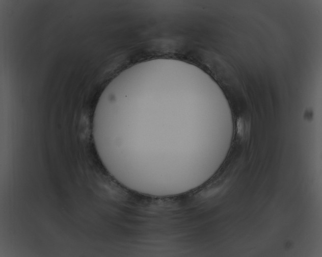 X0000095541203200801041301