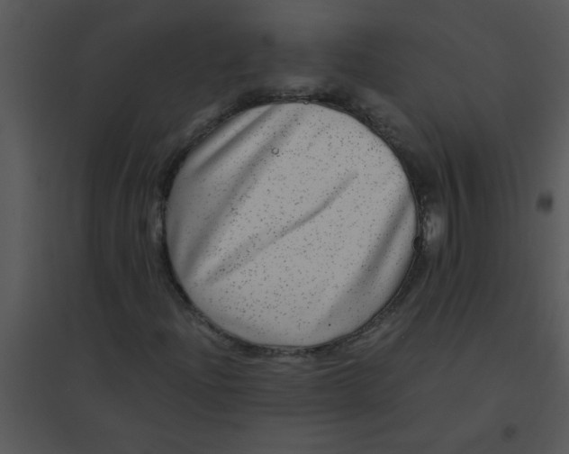 X0000095541204200801041301