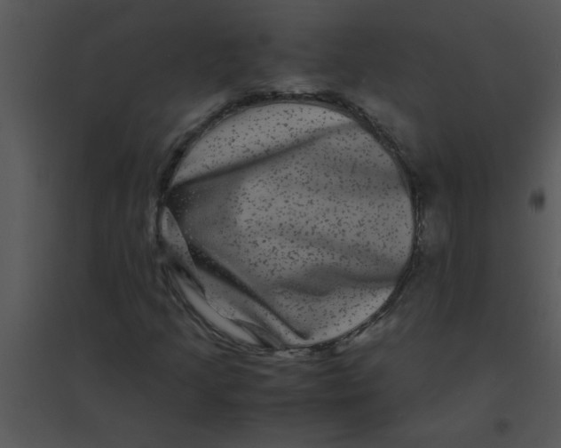 X0000095541205200801041301