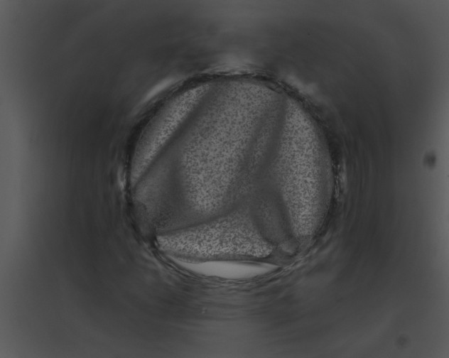 X0000095541206200801041301