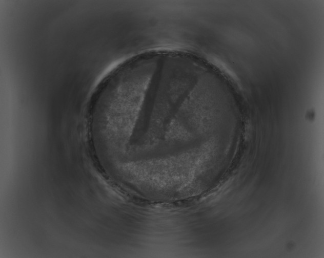 X0000095541208200801041301