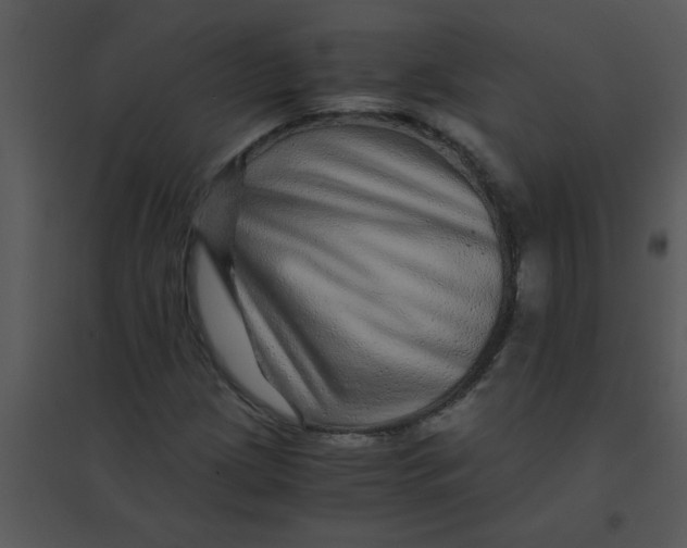 X0000095541209200801041302