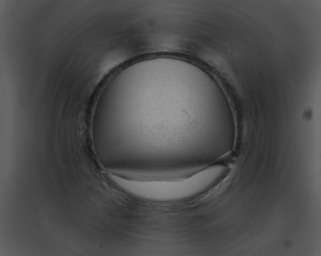 X0000095541210200801041302