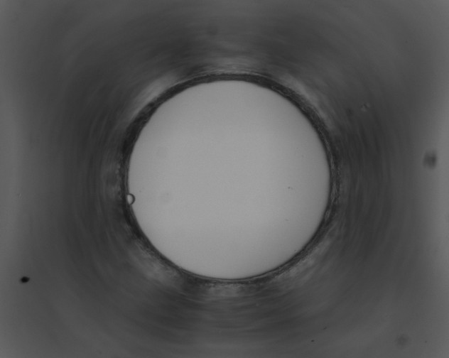 X0000095541211200801041302