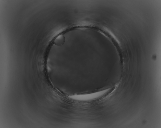 X0000095541213200801041302