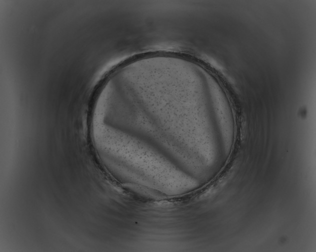 X0000095541214200801041302