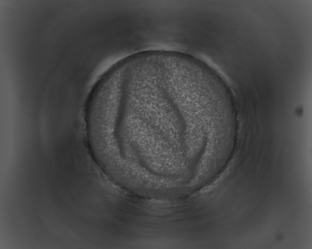 X0000095541215200801041302