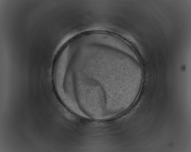 X0000095541216200801041302