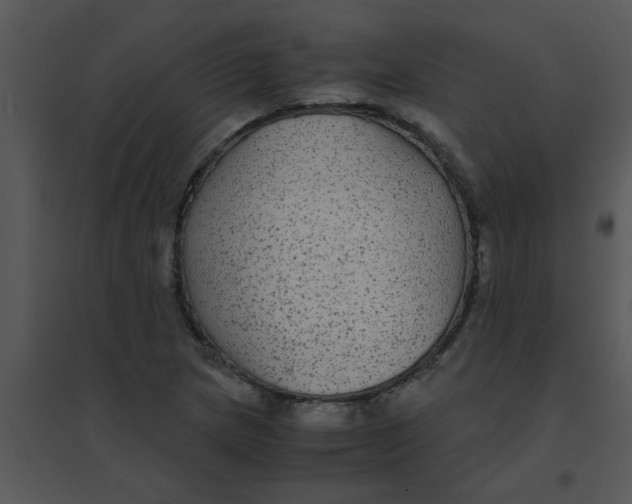 X0000095541217200801041302