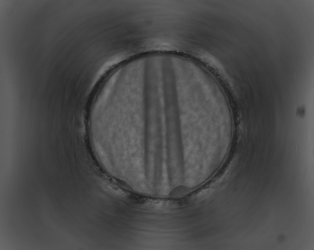 X0000095541218200801041302