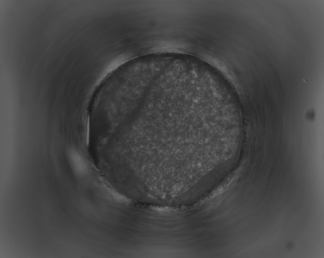 X0000095541219200801041302