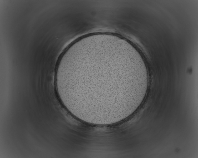 X0000095541220200801041302