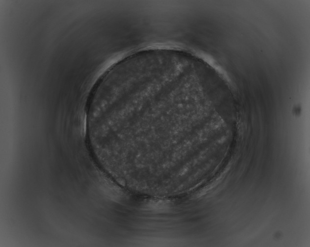 X0000095541221200801041302