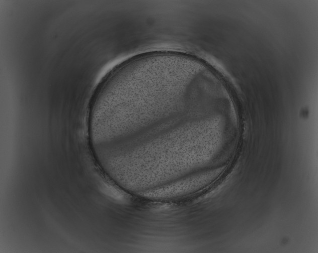 X0000095541222200801041302