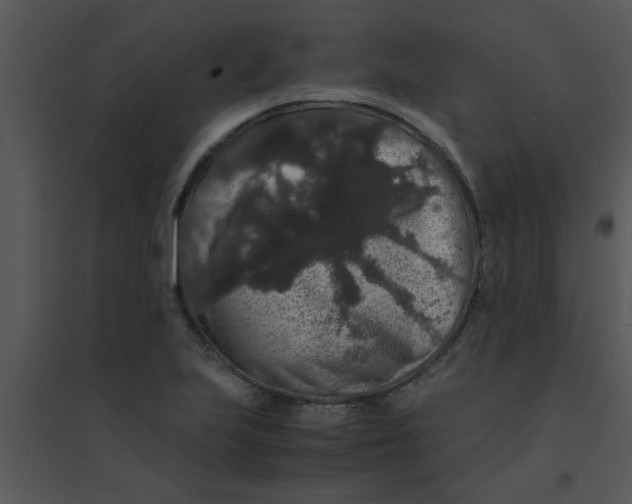 X0000095541223200801041302