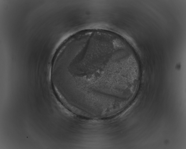 X0000095541224200801041302