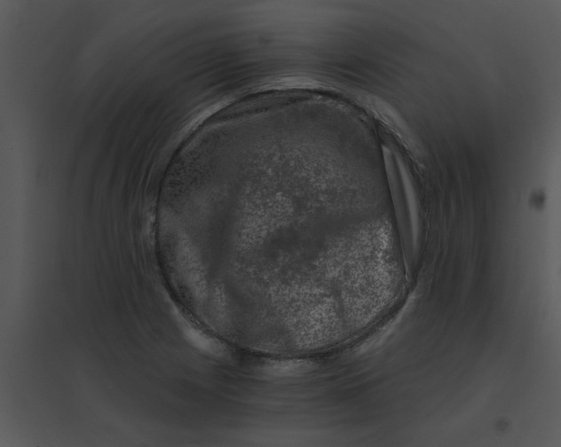 X0000095541225200801041302