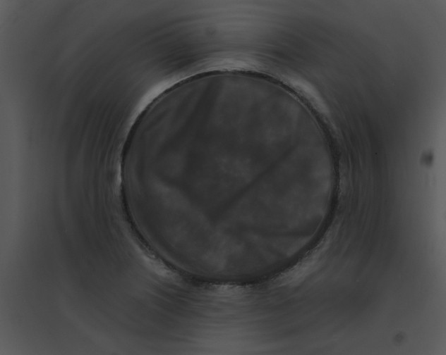 X0000095541226200801041302