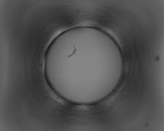 X0000095541227200801041302