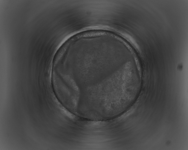 X0000095541228200801041302