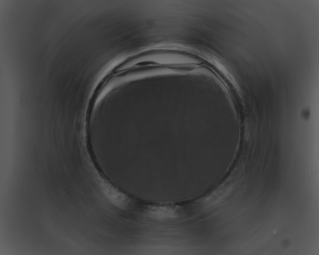 X0000095541229200801041302