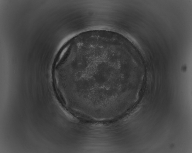 X0000095541230200801041302