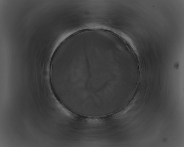 X0000095541231200801041302