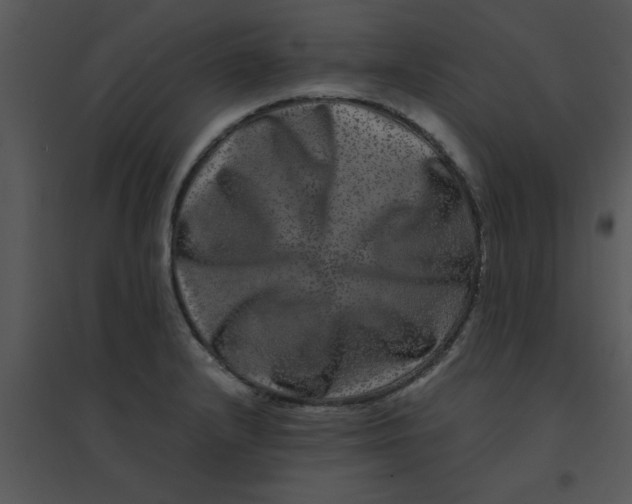 X0000095541232200801041302