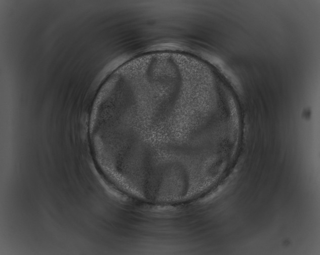 X0000095541233200801041302