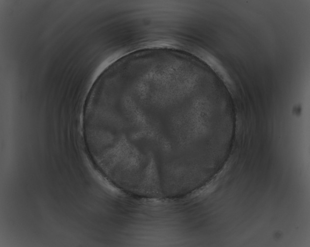 X0000095541234200801041302