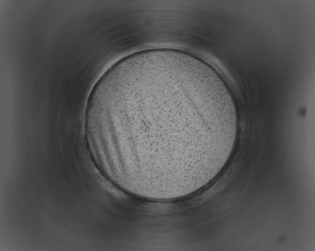 X0000095541236200801041302