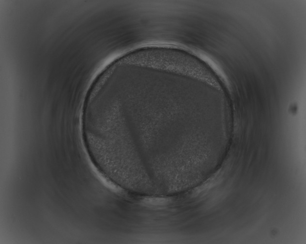 X0000095541237200801041302