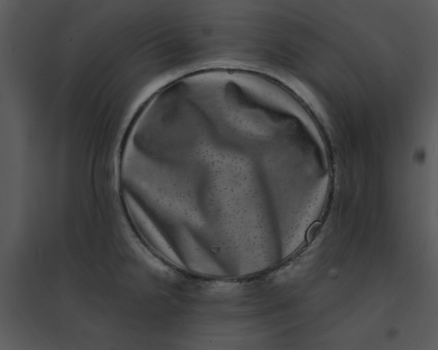 X0000095541238200801041302