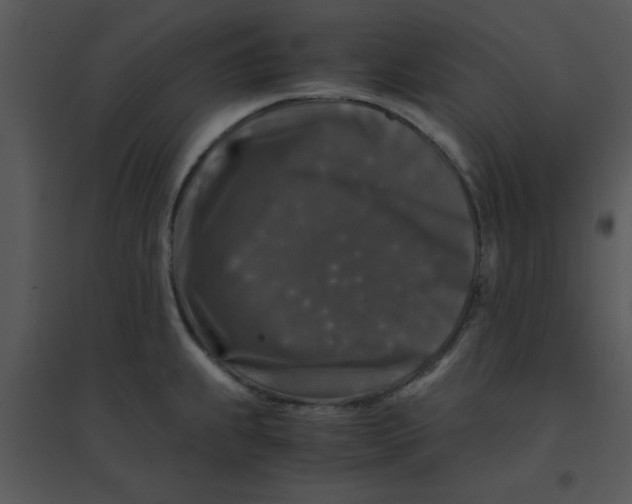 X0000095541239200801041302